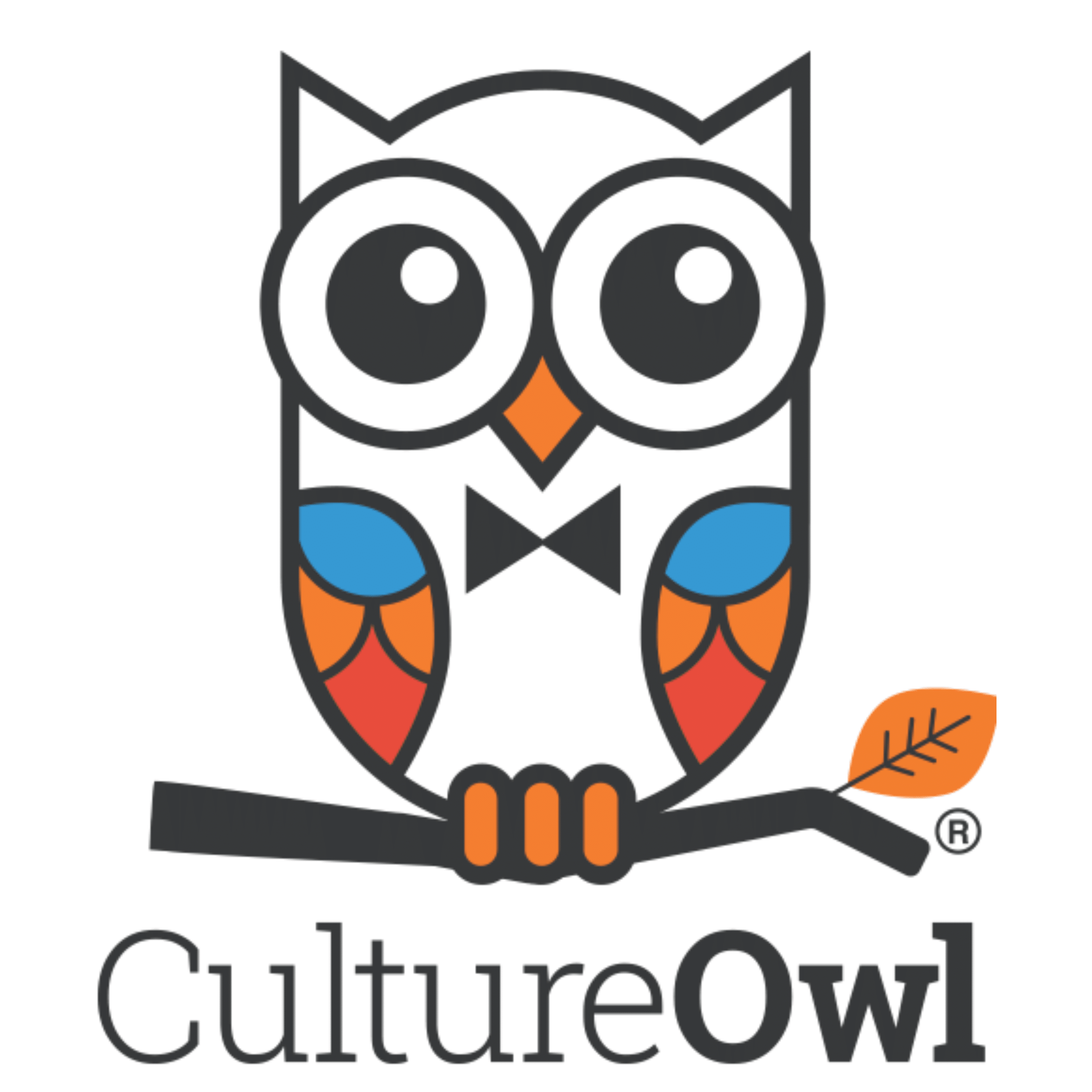 Culture Owl